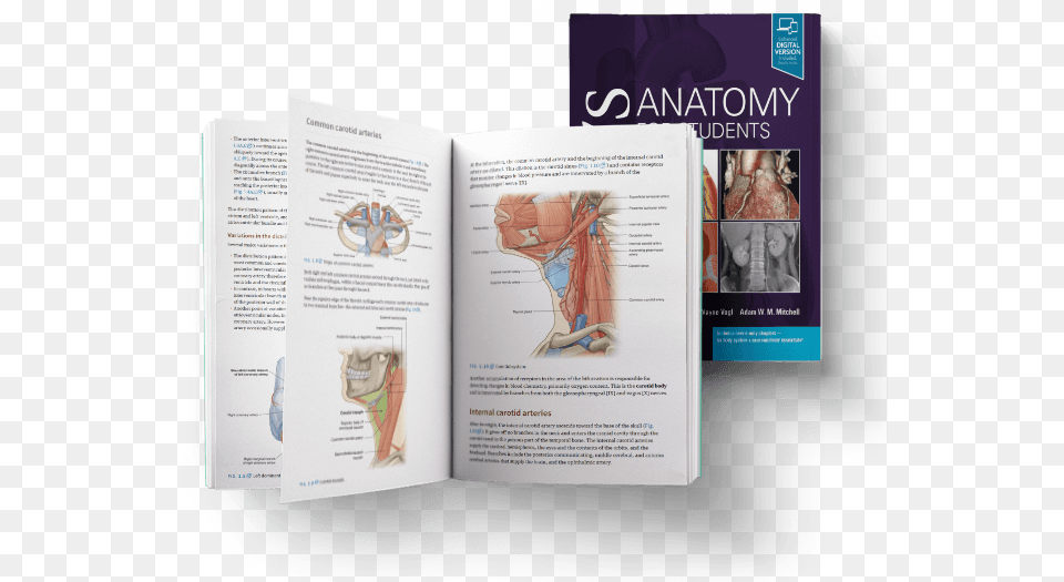 Anatomy For Students Inside, Page, Advertisement, Book, Text Free Png