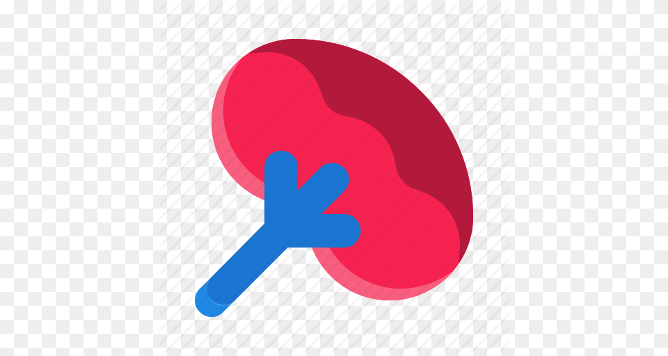 Anatomy Human Organ Spleen Icon, Food, Sweets, Ping Pong, Ping Pong Paddle Png Image