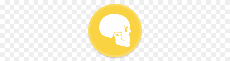 Anatomy Icon Button Ui, Gold, Photography, Light, Disk Png Image