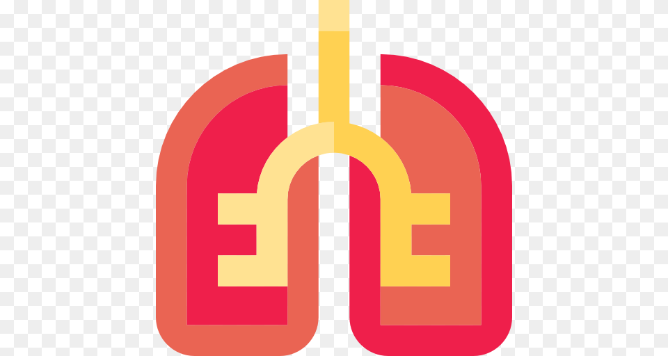 Anatomy Lung Organ Medical Breath Lungs Icon, First Aid Free Png