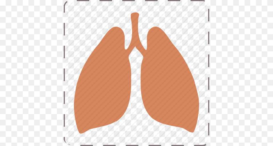 Anatomy Lungs Organ Pulmonology Icon, Food, Fruit, Plant, Produce Png Image