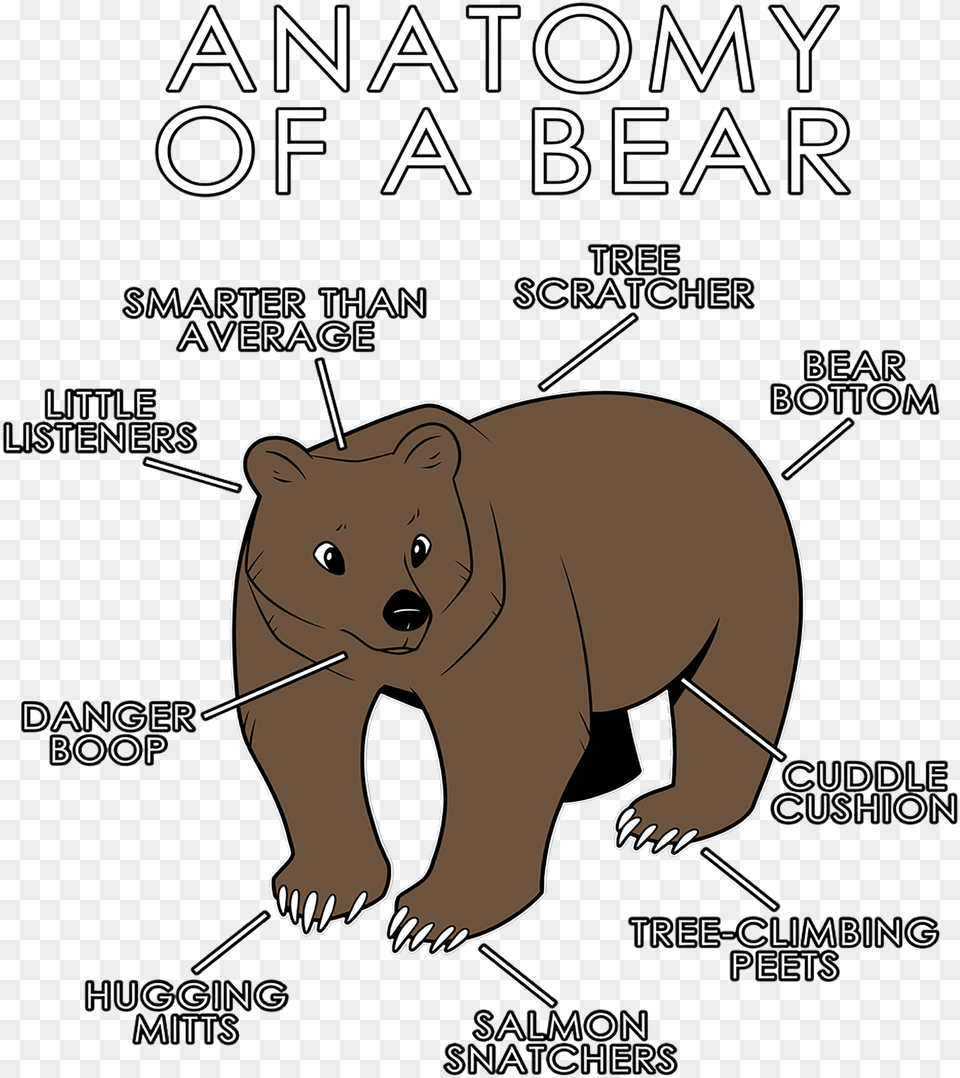 Anatomy Of A Bear, Animal, Wildlife, Mammal Free Png Download