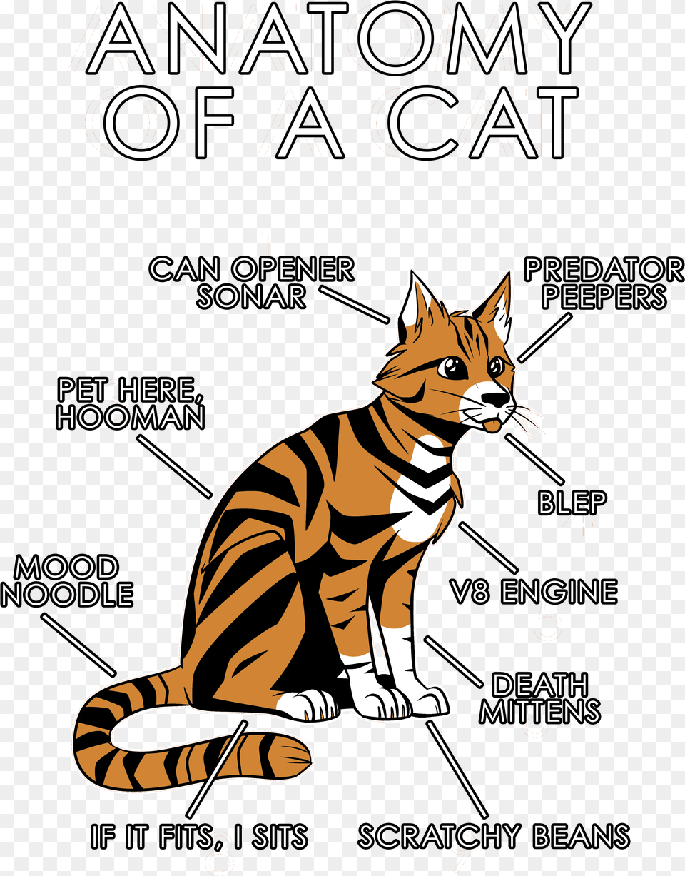 Anatomy Of A Cat, Advertisement, Animal, Canine, Dog Png