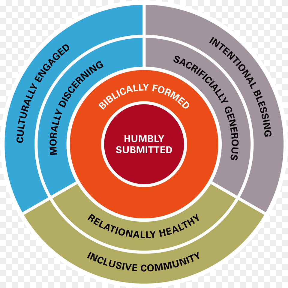 Anatomy Of A Disciple Circles, Disk Png