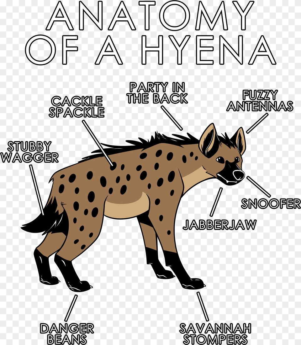 Anatomy Of A Hyena, Animal, Wildlife, Kangaroo, Mammal Png Image