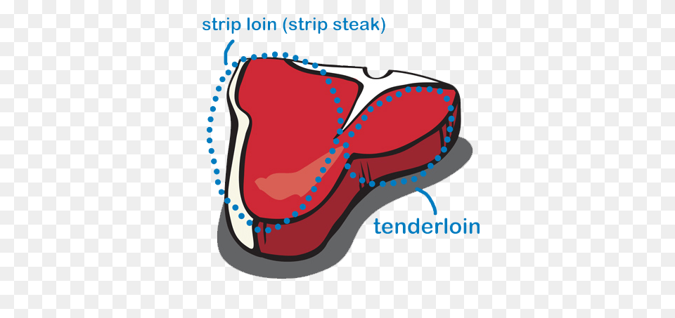Anatomy Of A T Bone, Clothing, Footwear, Shoe, Diaper Free Transparent Png