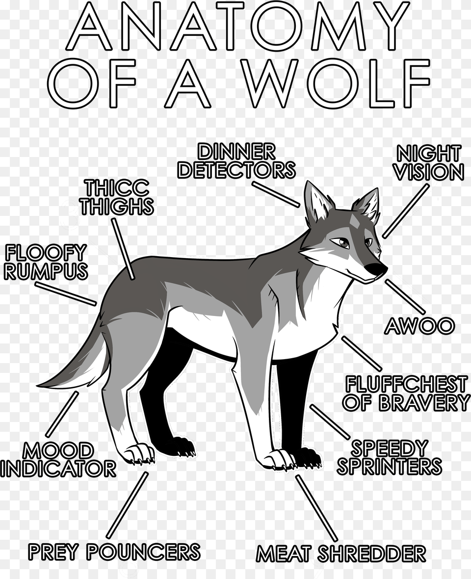 Anatomy Of A Wolf Anatomy Of A Furry, Animal, Canine, Dog, Mammal Png Image