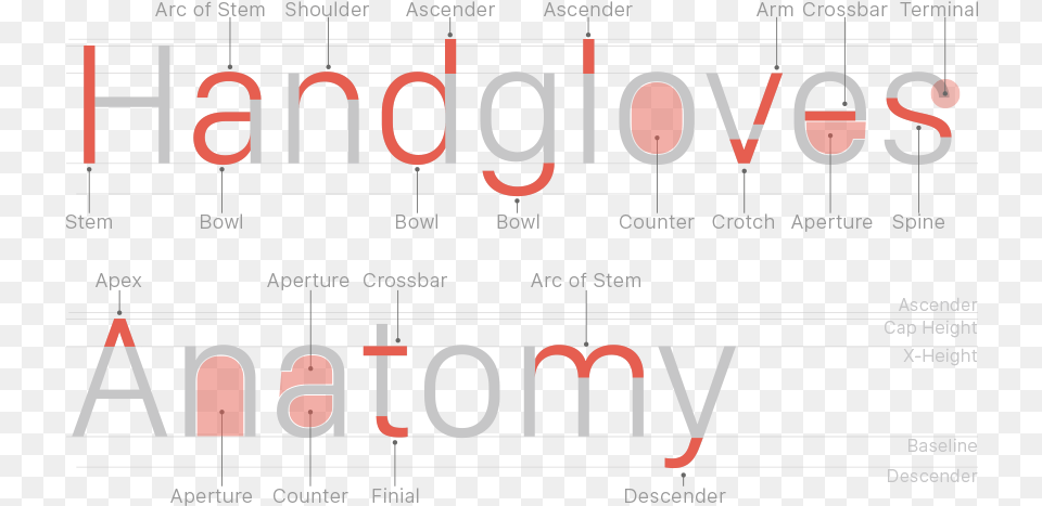 Anatomy Of Sans Serif Typography, Scoreboard, Text Free Png