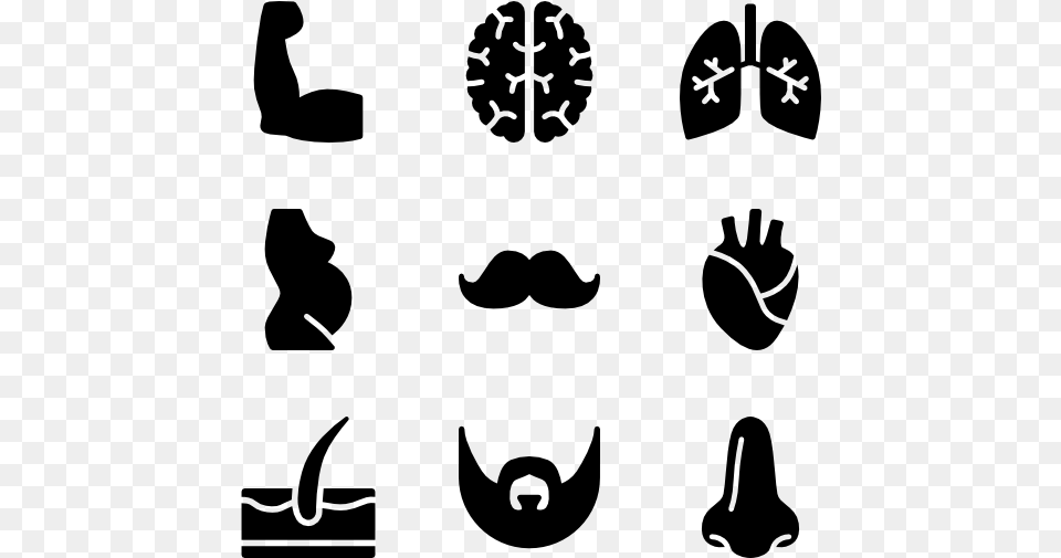 Anatomy Police Icons, Gray Png Image