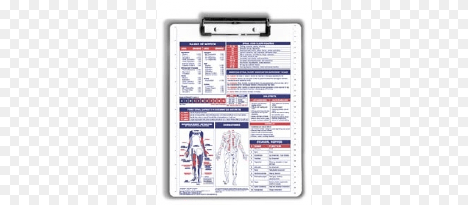 Anatomy Reference Clipboard Occupational Therapy Clipboard, Page, Text, Adult, Male Free Transparent Png
