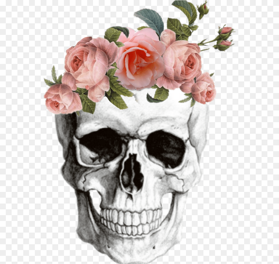 Anatomy Skull Skullsticker Flowers Tumblr, Rose, Flower, Flower Arrangement, Flower Bouquet Png Image