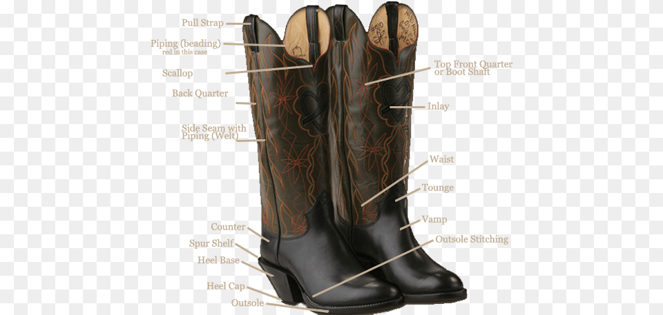 Anatomypng With Images Boots Cowboy, Boot, Clothing, Footwear, Cowboy Boot Free Transparent Png