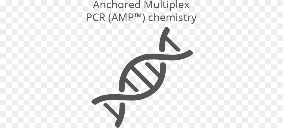 Anchored Multiplex Pcr Target Enrichment Chemistry Dna Splicing Icon, Text, Smoke Pipe Free Transparent Png