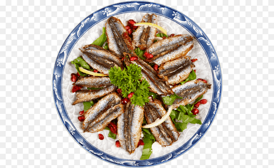 Anchovy Food, Meal, Dish, Platter, Food Presentation Free Png Download