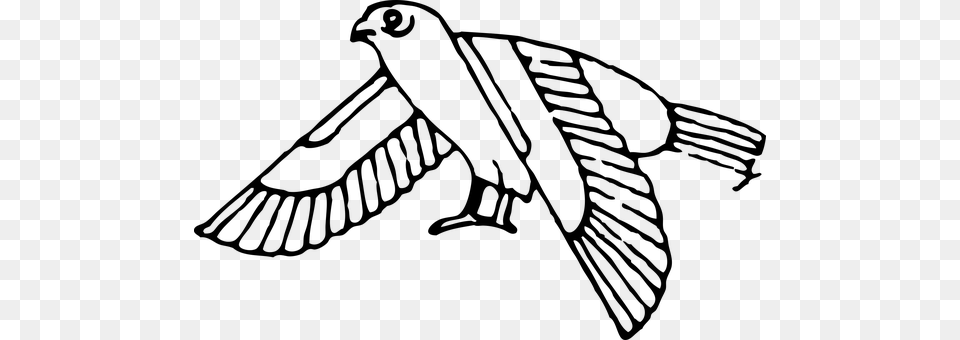 Ancient Bird Egypt Egyptian Sacred Ancient Egypt Animal Drawings, Gray Free Png Download