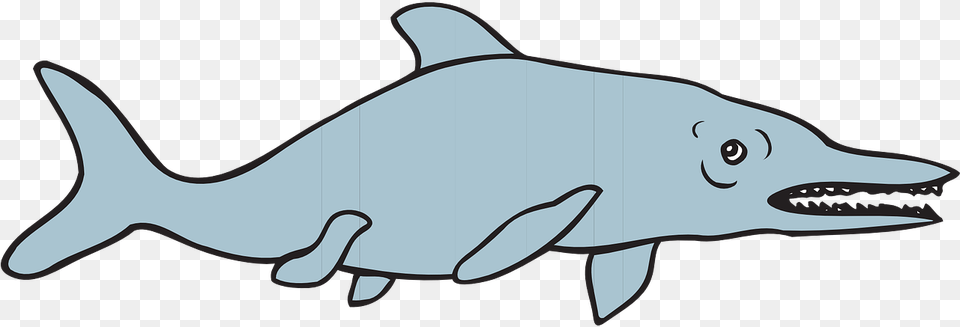 Ancient Fish Transparent, Animal, Sea Life, Dolphin, Mammal Png