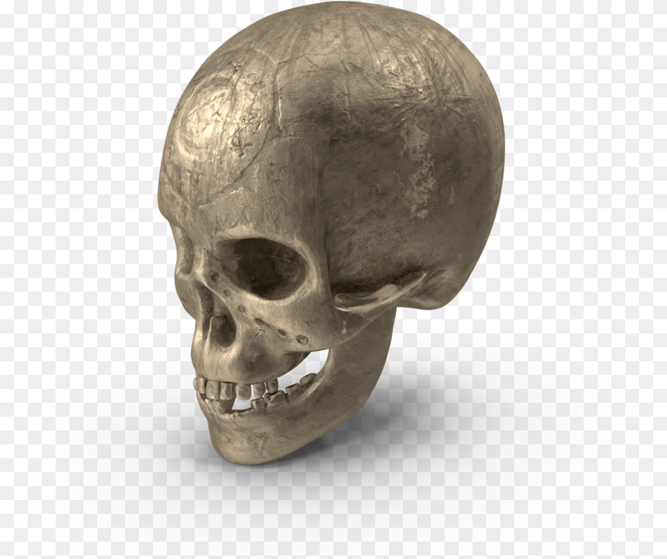 Ancient Skull H03 2k Skull, Head, Person, Face, Photography Png Image