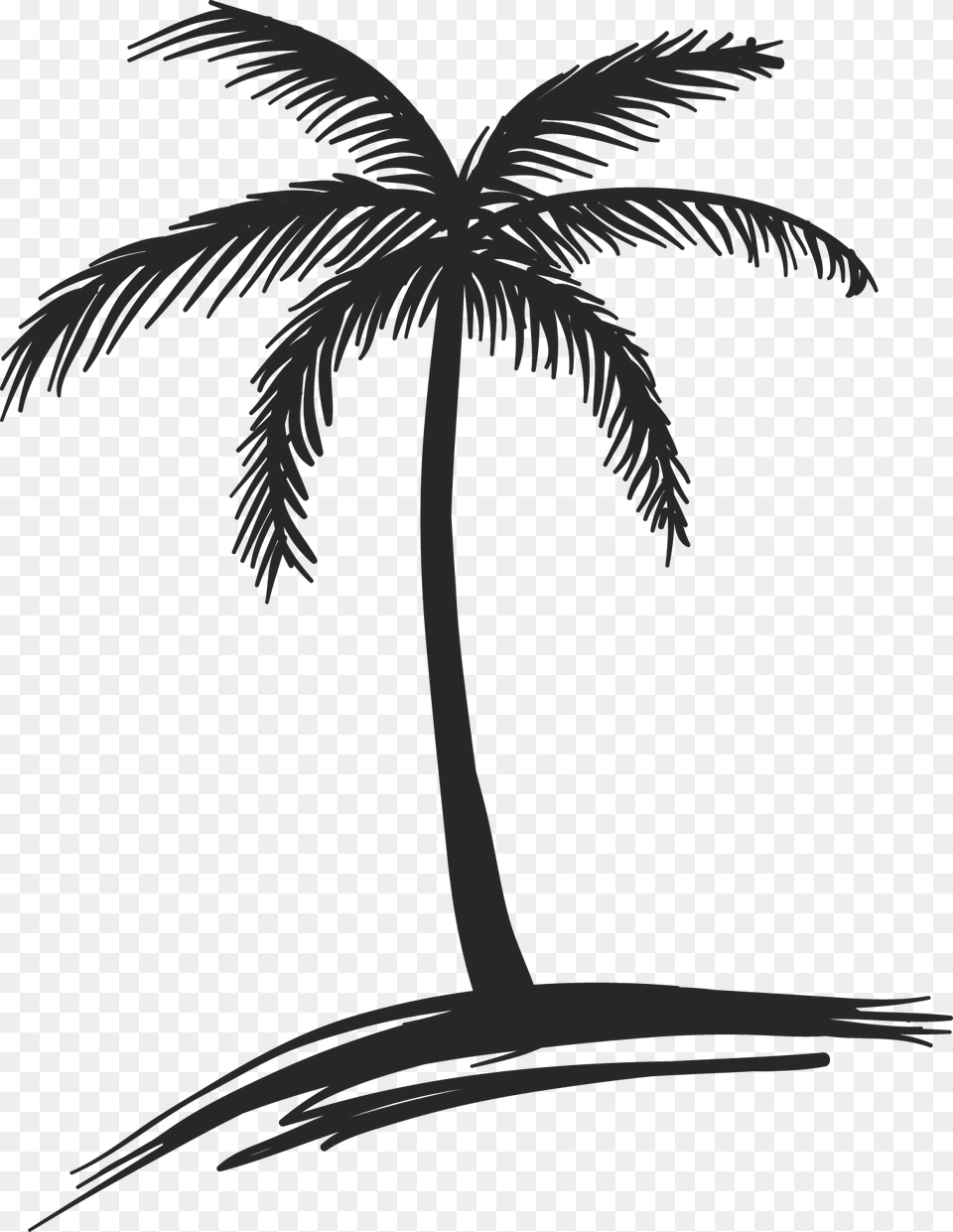 And Black Drawing Palm Tree White Small Palm Tree Drawing, Palm Tree, Plant, Animal, Bird Png Image