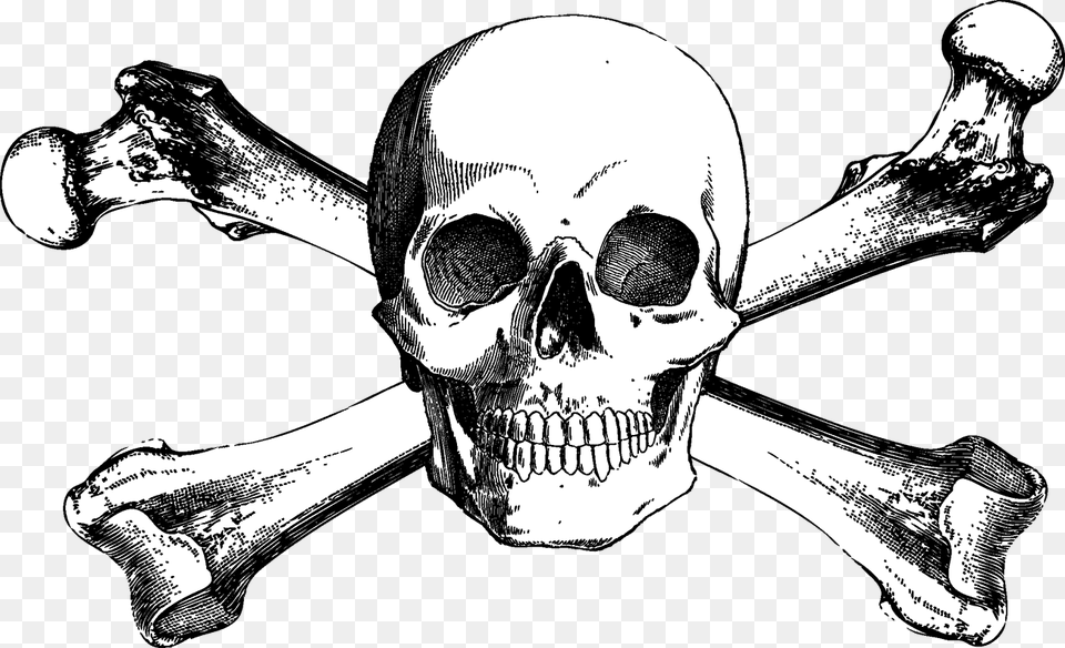 And Bones Drawing Skull Crossbones Skull And Crossbones, Adult, Male, Man, Person Free Png Download