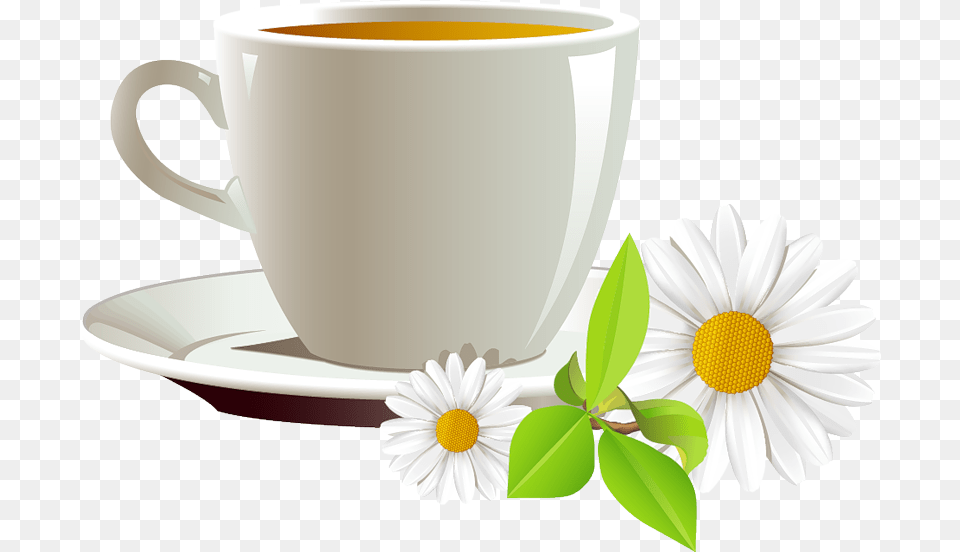 And Coffee Cup Of Tea Cafe Daisies Cup Tea, Daisy, Flower, Plant, Saucer Png