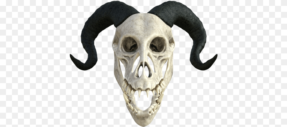 And Crossbonesbone Skull, Animal, Bear, Mammal, Wildlife Png