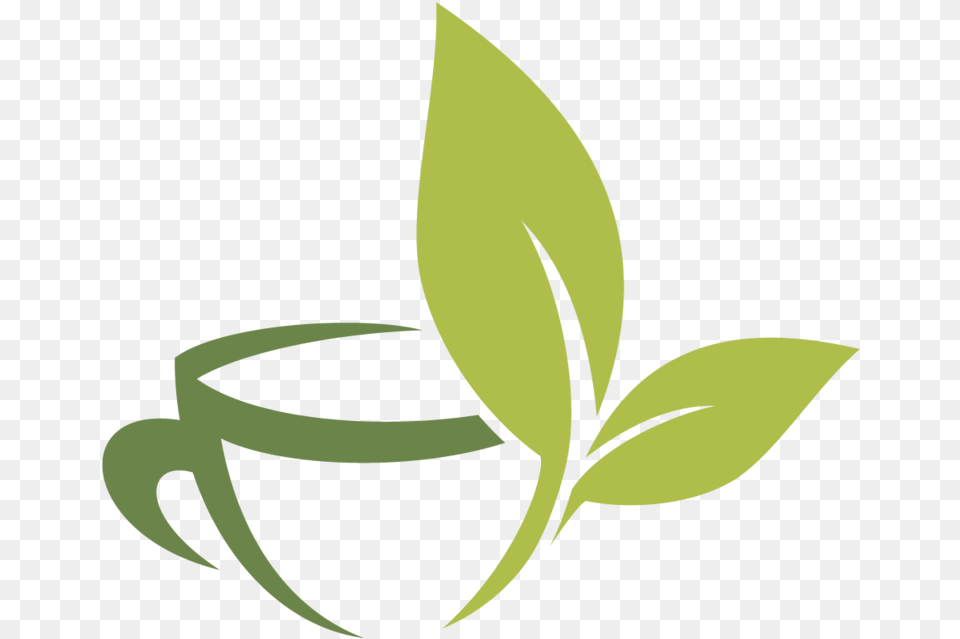 And Fuding Cup Tea Material Infusion Vector Vector Tea Leaf, Herbal, Herbs, Plant, Beverage Free Transparent Png