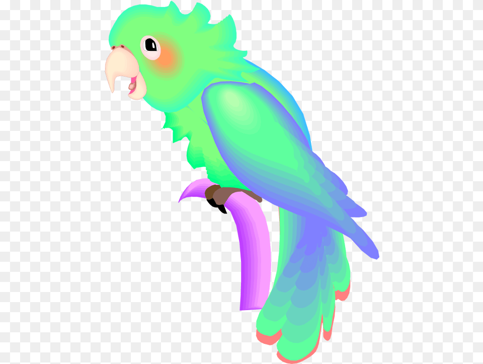 And Macaw Parrot, Animal, Baby, Bird, Person Free Png Download