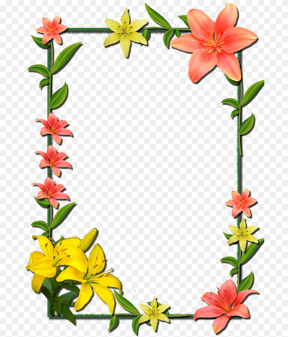 And Picture Flower Frame Frames Borders Flower Frame Border Design, Plant, Petal, Anther, Lily Free Png Download