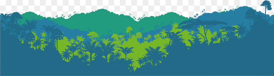 And The Best Part Reduce Lets You See In Real Time Rainforest, Plant, Jungle, Land, Nature Free Png