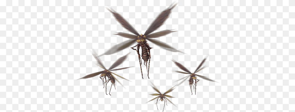And The Vespoid Which Can Be Found In The Ancient Shiny Beetle Monster Hunter Generations, Animal, Invertebrate, Insect, Flying Free Png Download