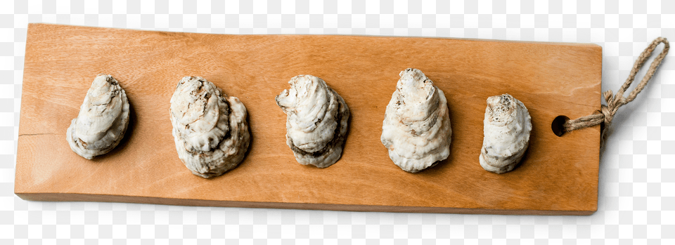 And Unlike Any Other Oysters In The World Blue Cheese, Animal, Sea Life, Food, Seafood Free Transparent Png