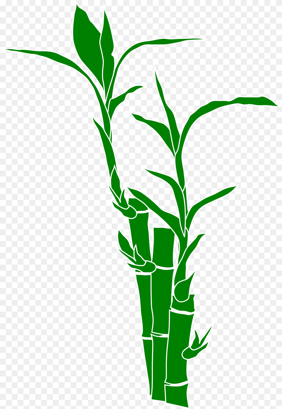 And Use Bamboo Clipart Bamboo Vector, Plant Png