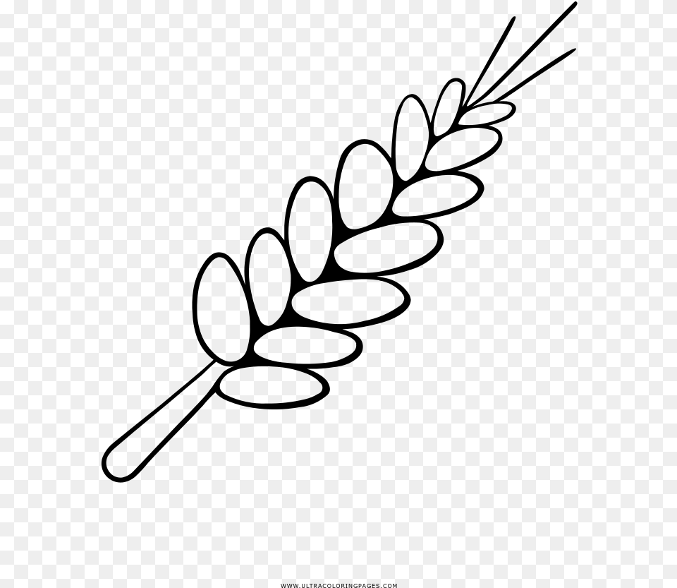 And Wheat Coloring, Gray Png Image