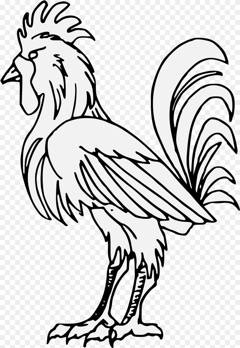 And Whiteart Rooster, Person, Animal, Bird, Chicken Free Transparent Png