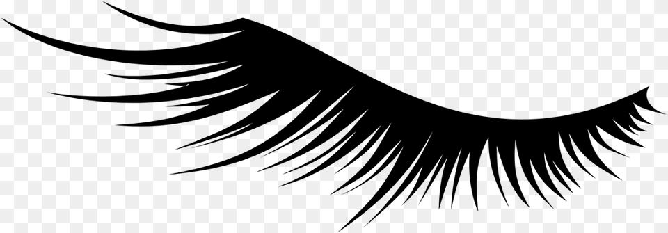 And Whitefeather Eyelash Icon Transparent Background, Nature, Night, Outdoors, Astronomy Free Png Download