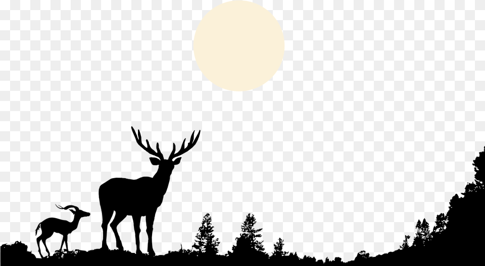 And Wildlife Silhouette Nature Deer Moon Black Clipart Shadow Of A Deer, Night, Outdoors, Astronomy, Lighting Free Png