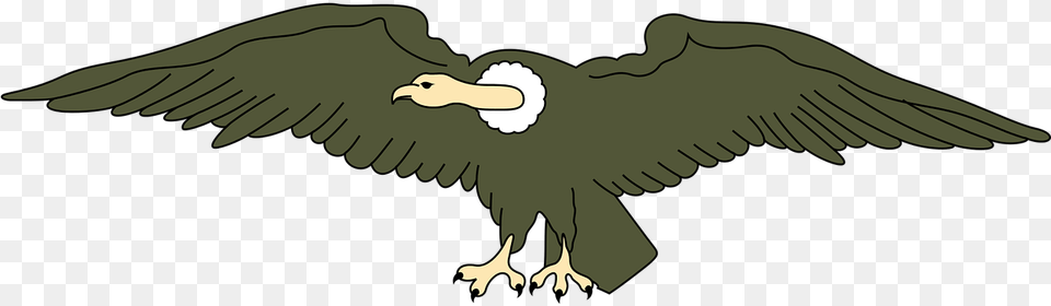 Andean Animal Bird Condor Image, Vulture, Dinosaur, Reptile Free Png Download