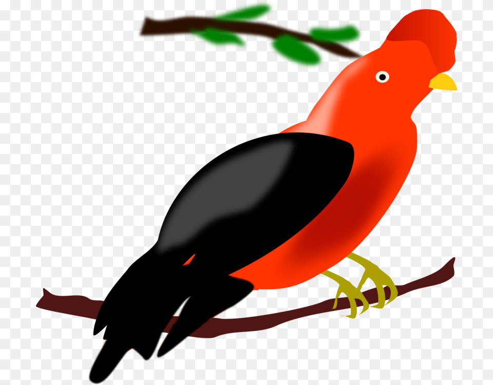 Andean Cock Of The Rock Computer Icons Bird Animal, Beak Free Png Download