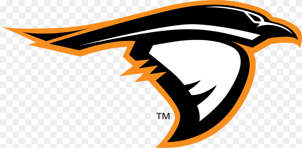 Anderson Ravens Logo, Animal, Beak, Bird Png