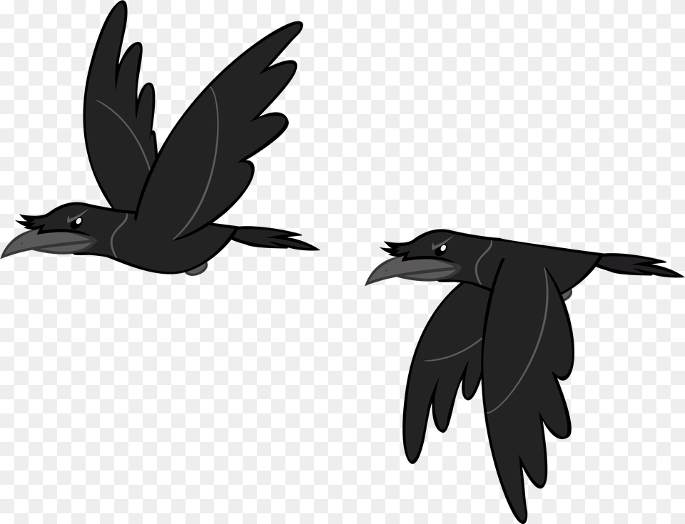 Andoanimalia Bird Crow Duo Family Appreciation Crows, Animal, Flying, Blackbird, Fish Png Image