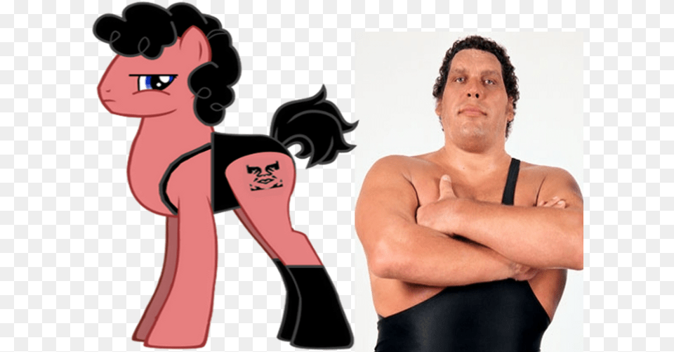 Andr The Giant Ponified Safe Wwe Andr The Giant And The Big Show, Adult, Person, Man, Male Png