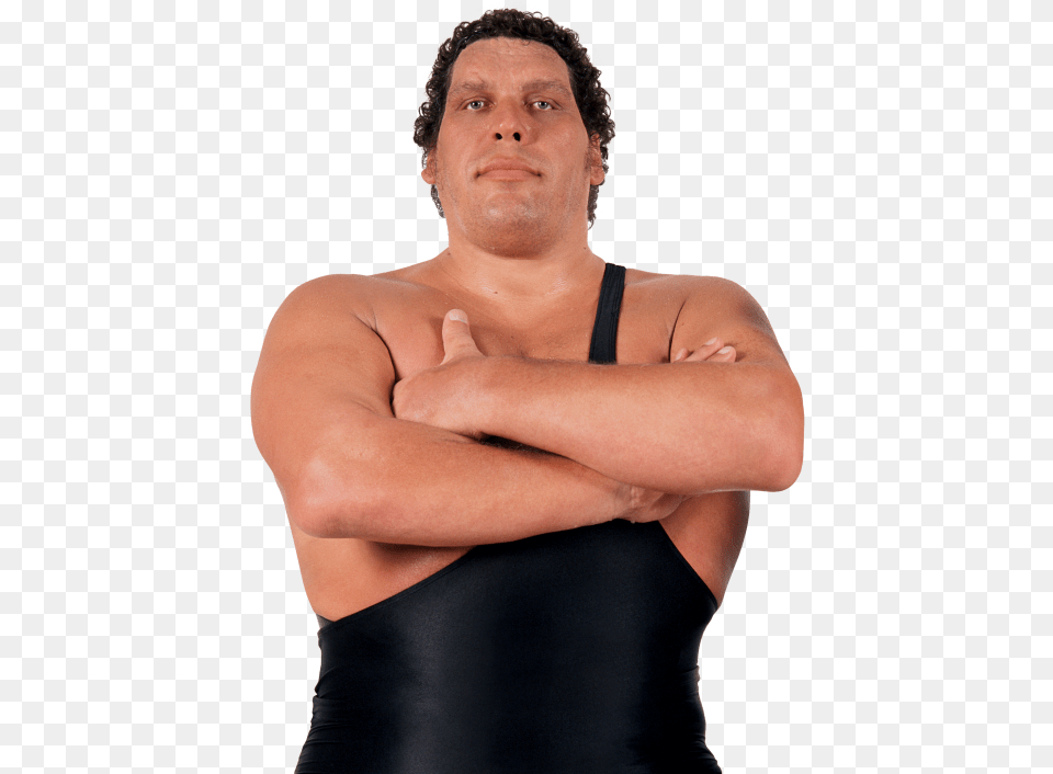Andre The Giant Andre The Giant 1946, Adult, Person, Body Part, Man Free Png Download