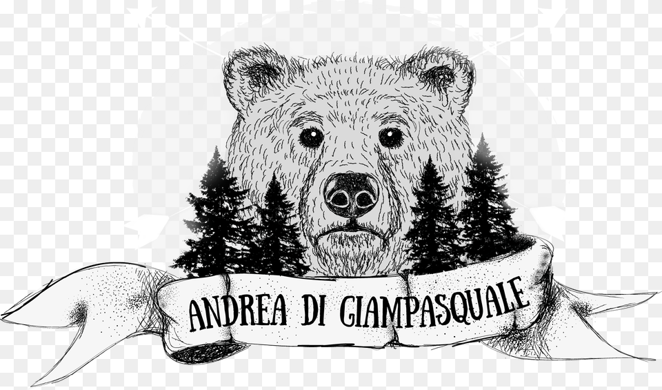 Andrea Di Giampasquale Photography Kodiak Bear, Adult, Bride, Female, Person Free Png
