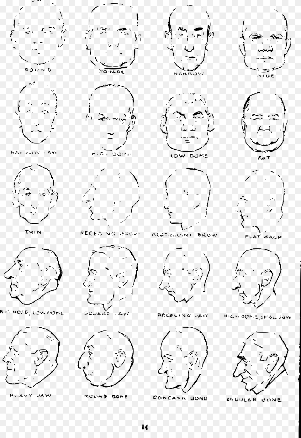 Andrew Loomis Drawing The Head And Hands 10 Clip Arts Drawing, Gray Free Png