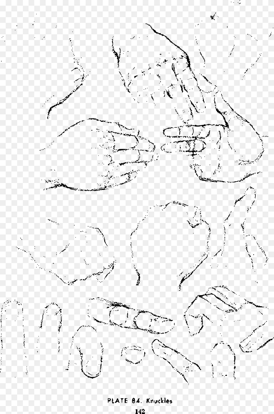Andrew Loomis Drawing The Head And Hands 129 Clip Arts Drawing, Gray Free Png