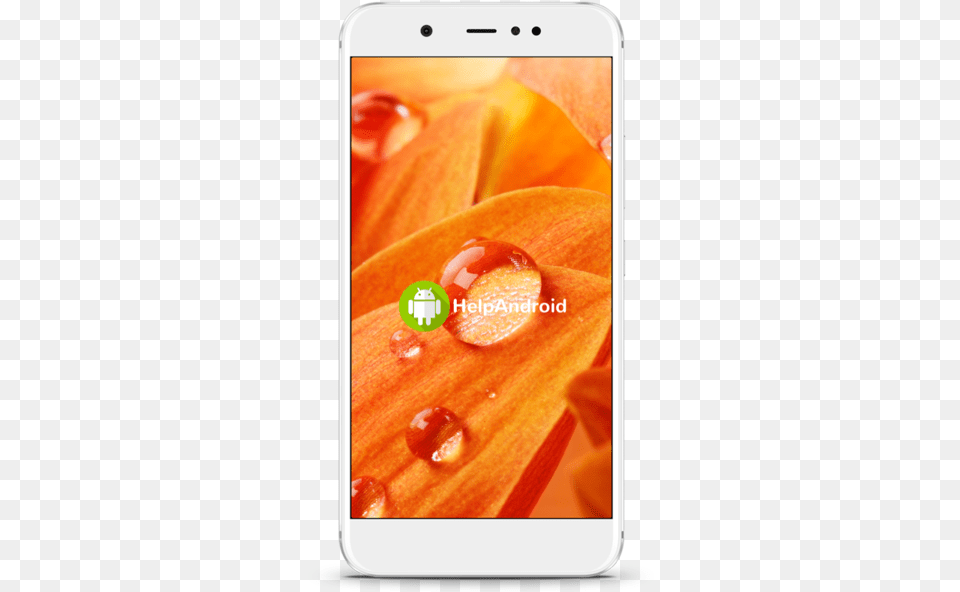 Android, Electronics, Mobile Phone, Phone, Flower Png