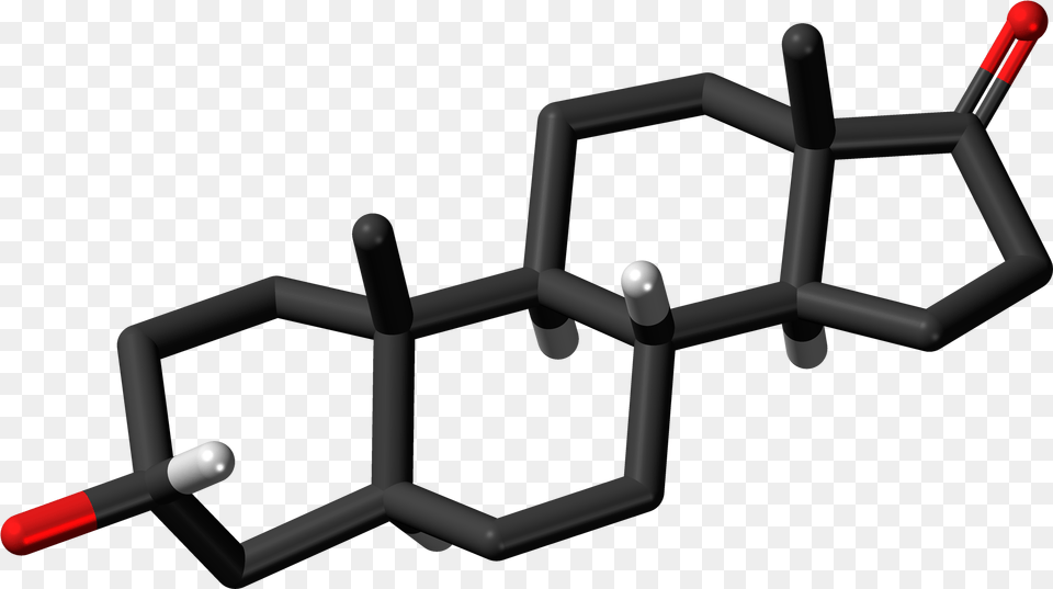 Androsterone 3d Skeletal Sticks Steroid Png Image