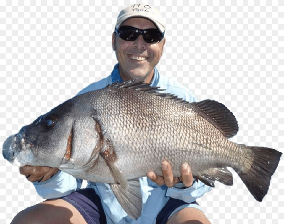 Andy Andysfishing Pull Fish Out Of Water, Accessories, Sea Life, Sunglasses, Animal Free Png