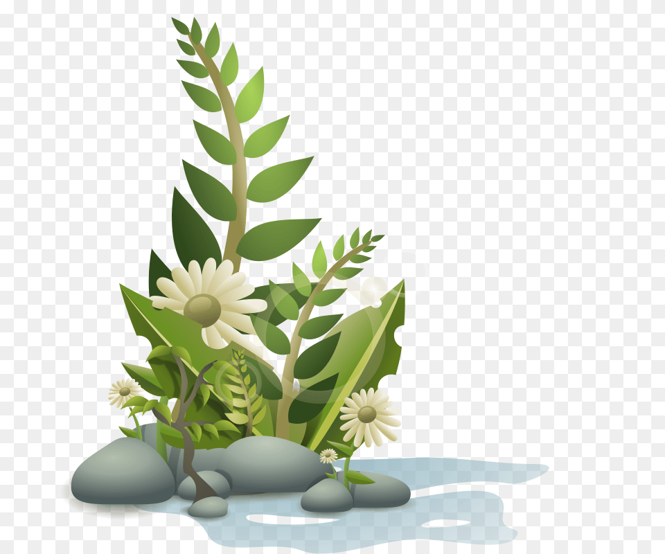 Andy Plants Pebbles And Flowers, Art, Pattern, Ikebana, Graphics Free Png