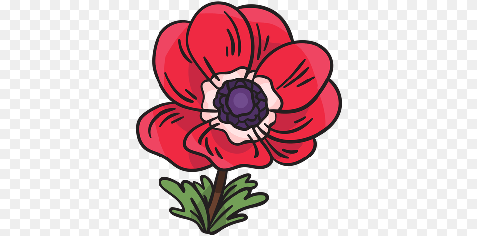 Anemone Calanit Flower Illustration Anemona Flor Ilustracion, Plant, Dahlia, Dynamite, Weapon Free Png Download